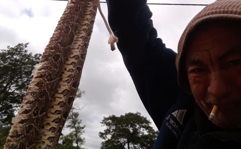 Yarará en manos de un lugareño