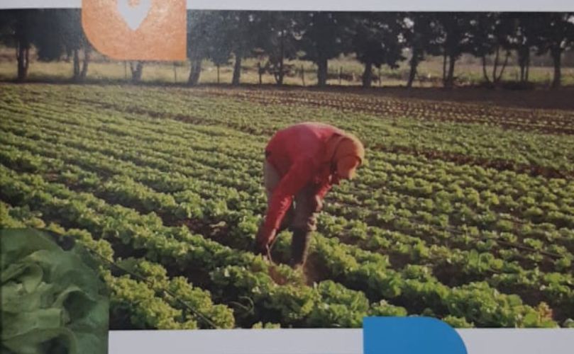 La mayor exposición de Horticultura del país
