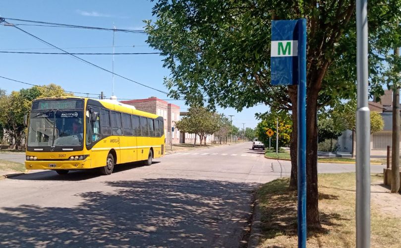 M Verde