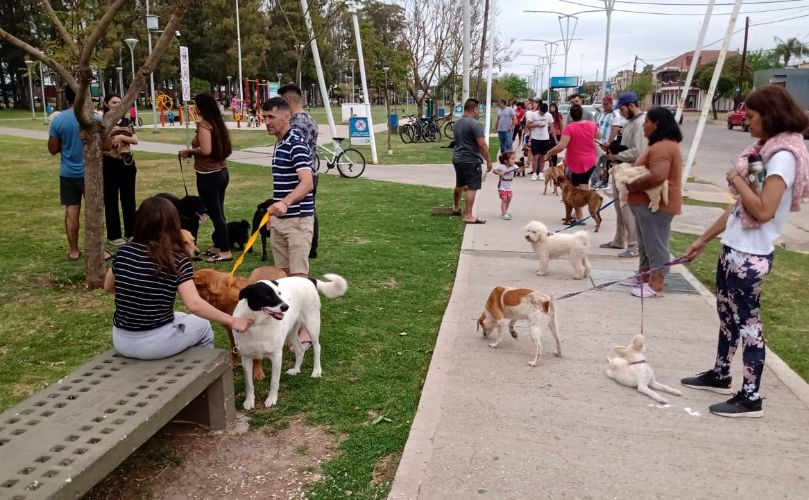 Última jornada de desparatización en el parque central