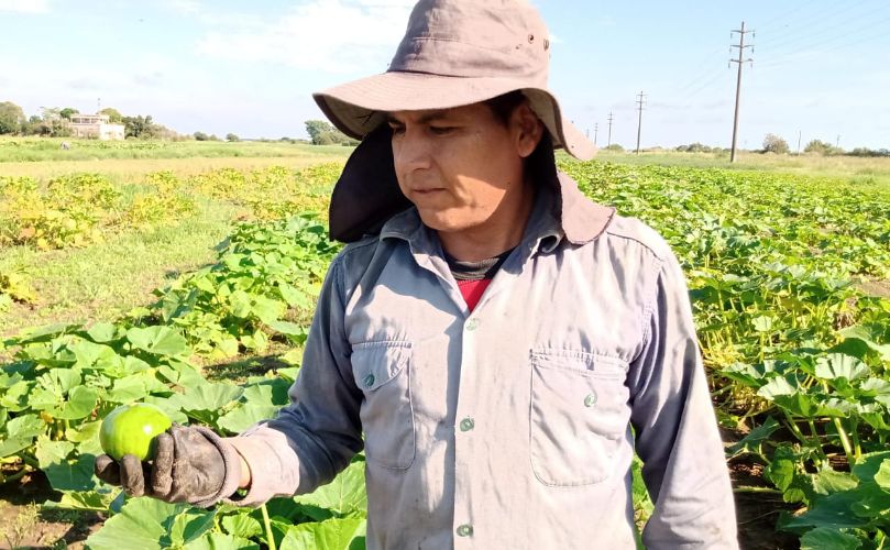 Juan Manuel Tejerina, productor local