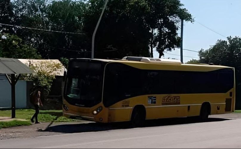 Colectivo sobre Ruta 21