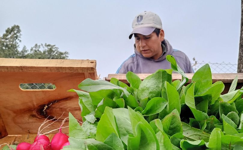 Juan Manuel Tejerina, un productor infatigable