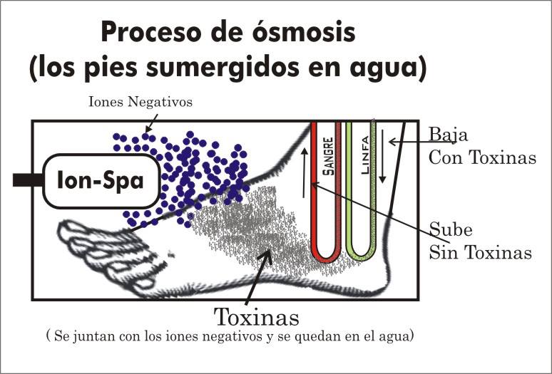 Limpieza de toxinas por medio de baños de inmersión con sal marina