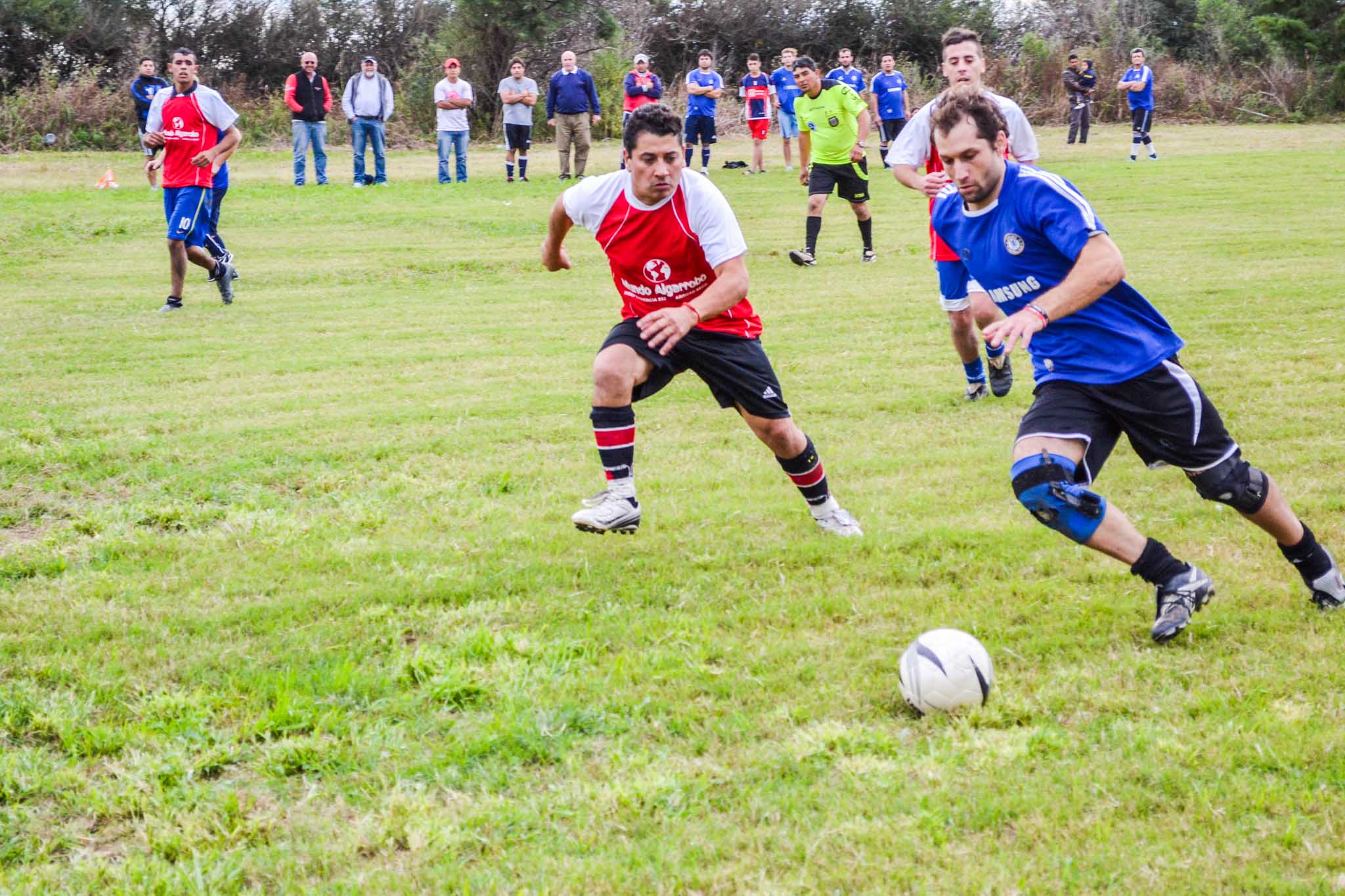 Foto: Jorge Mansilla