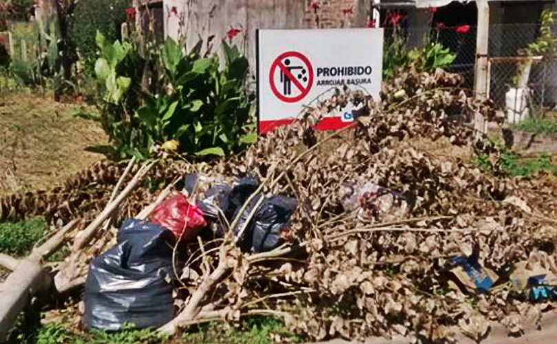 Una imagen vale más que mil palabras