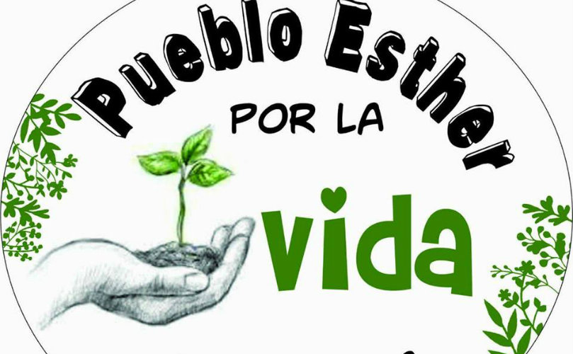 'No a los agrotóxicos'