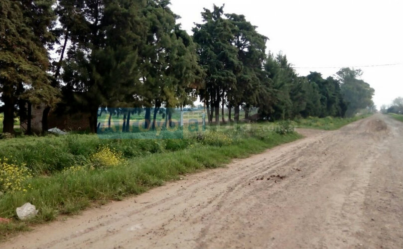 Foto - Arroyo al Día 