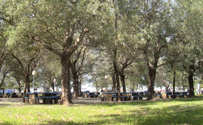 Camping del club Libertad 