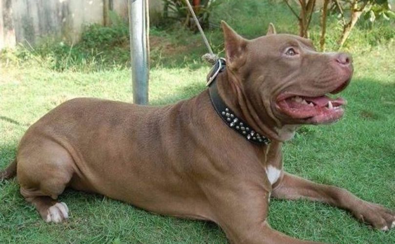 El hecho ocurrió en Formosa