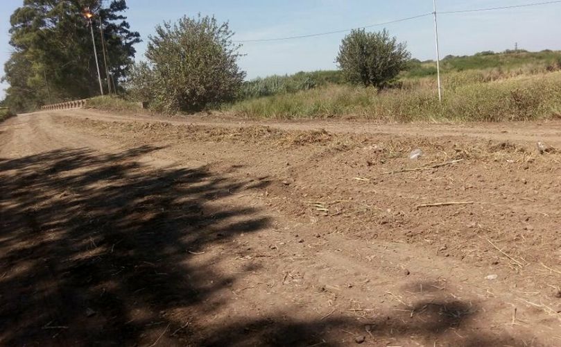 El camino de la discordia 