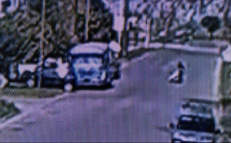 El vehiculo que registraron las cámaras de General Lagos 