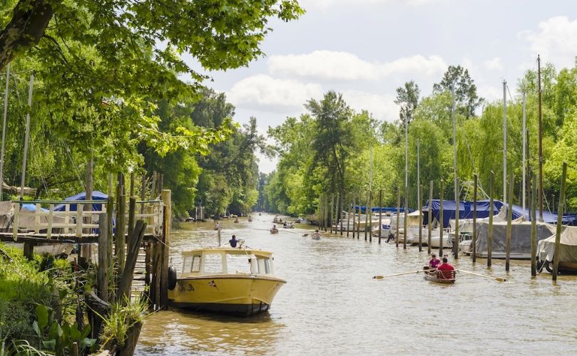 Destino: Tigre 