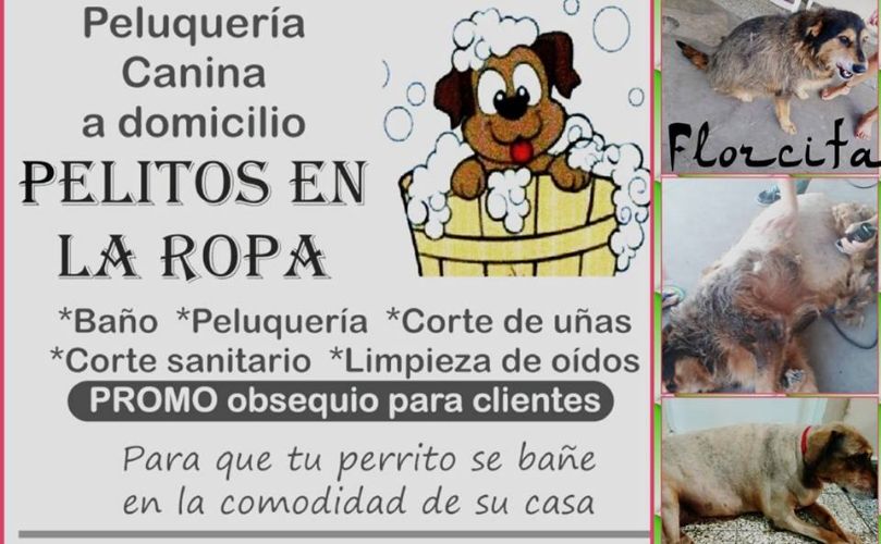 Nuevo emprendimiento