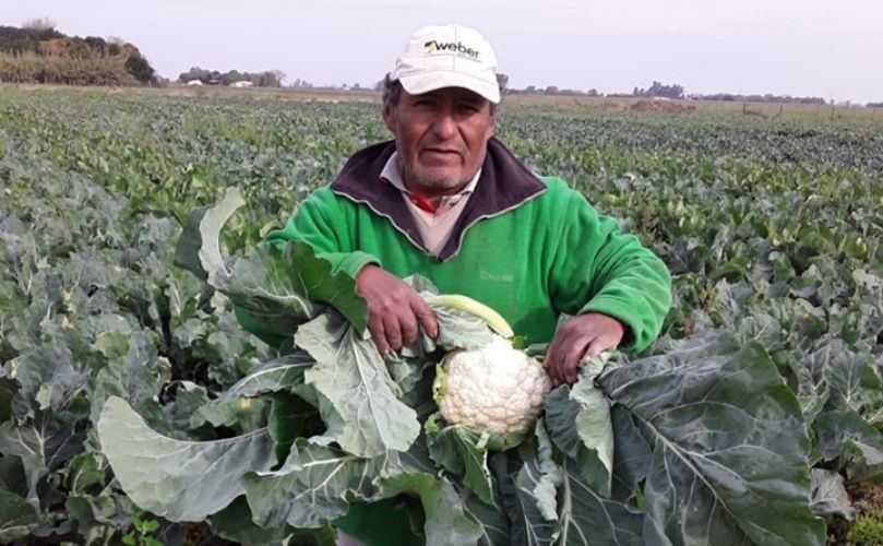 Guillermo Cussi