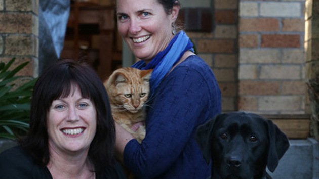 El gato junto al perro que lo salvó // nzherald.co.nz