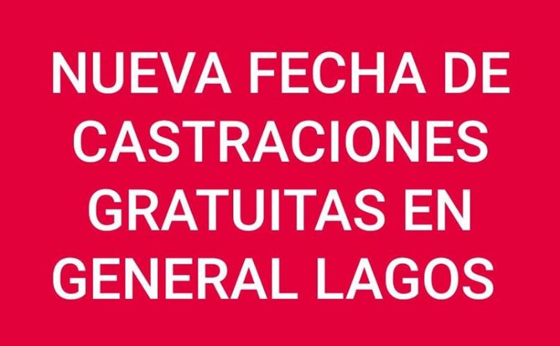 El próximo miércoles 