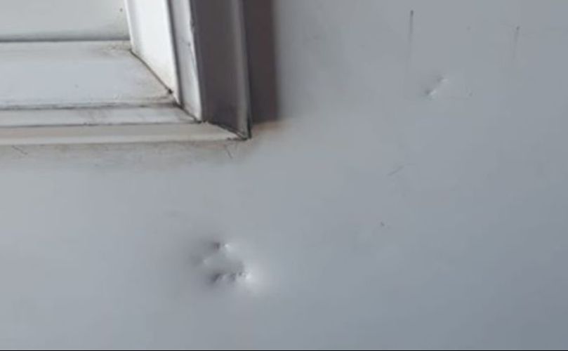 Numerosos impactos recibió el portón de la casa