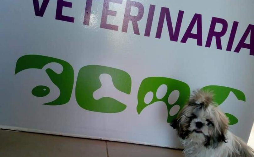 Veterinaria de Matias Di Giusepp
