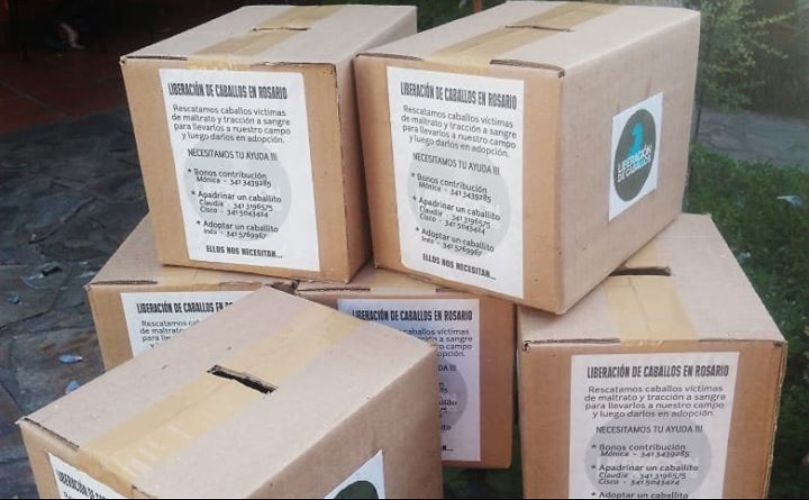 Asi serán las urnas que se distribuirán en los próximos días