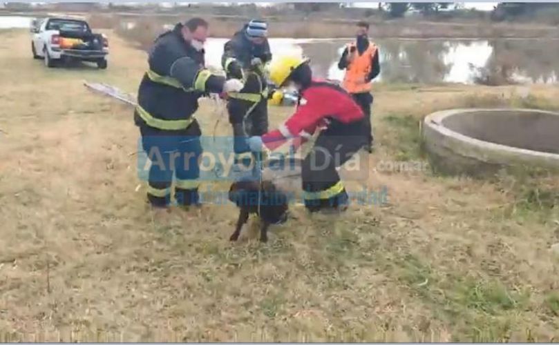 Bomberos al rescate