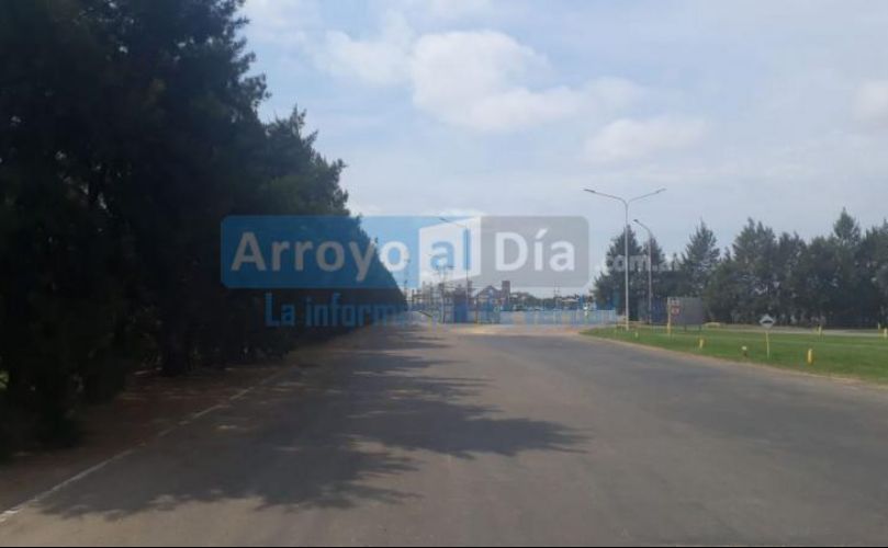 Foto - Arroyo al Dia