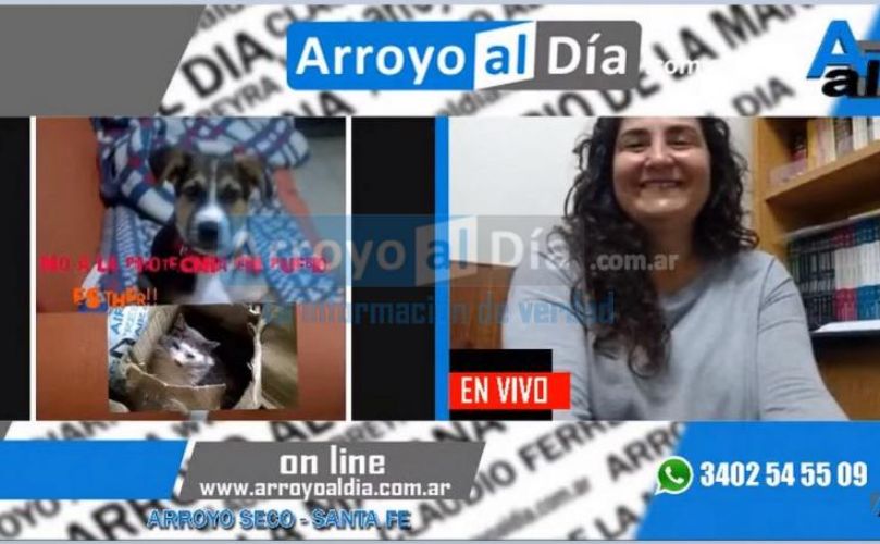 Captura de pantalla 