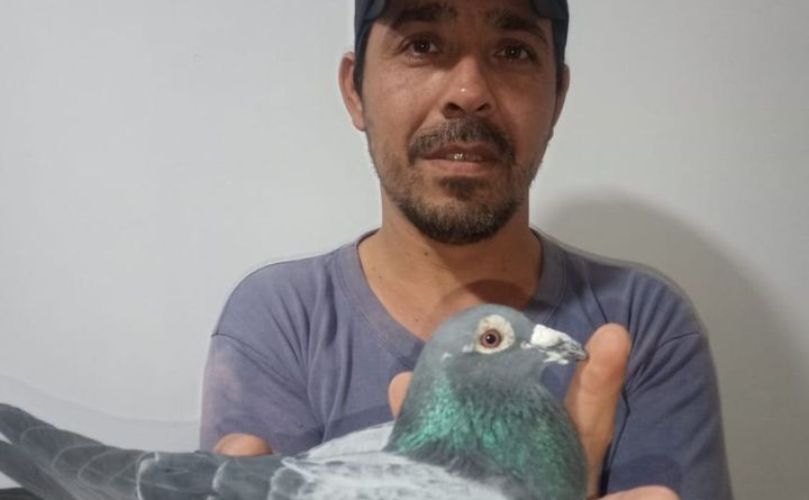 Luciano Orellano