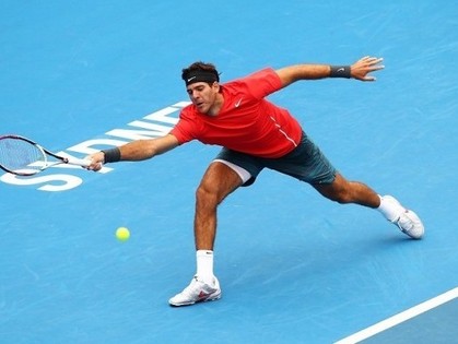 Del Potro fue muy superior a Tomic, y se quedó con la gloria.