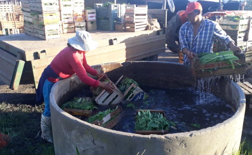 Ismael junto a su familia, trabajando el campo