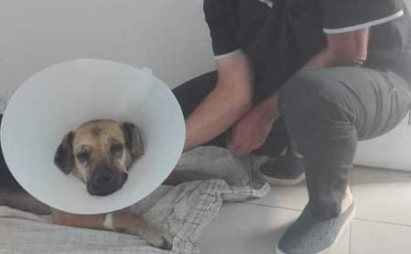 Matías, veterinario,  junto a Claudia, la perrita